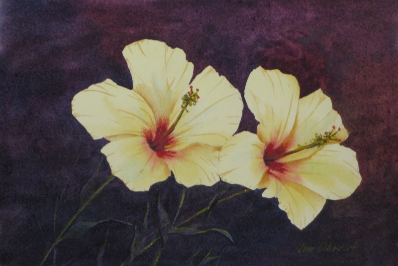 flower, hibiscus, original watercolor painting, oberst